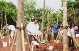 Dihadiri Presiden RI Jokowi, Astra Kembali Berpartisipasi dalam Gerakan Tanam Pohon Bersama